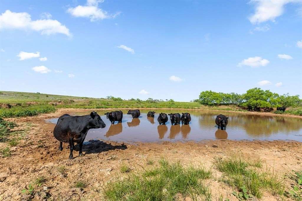 171 Acres of Agricultural & Residential Land for Sale in Ringgold, Texas