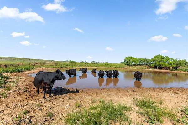 171 Acres of Agricultural & Residential Land for Sale in Ringgold, Texas