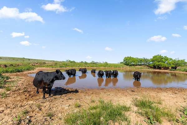 171 Acres of Land for Sale in Ringgold, Texas