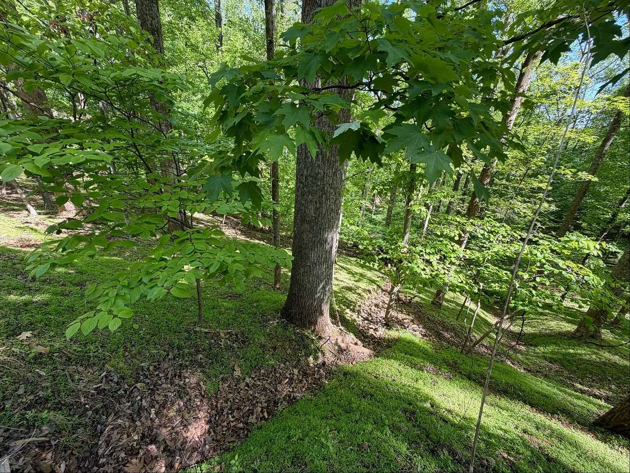 0.41 Acres of Land for Sale in Hardy, Virginia