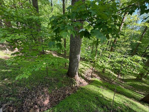 0.41 Acres of Land for Sale in Hardy, Virginia