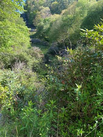 1.5 Acres of Residential Land for Sale in Glenville, North Carolina