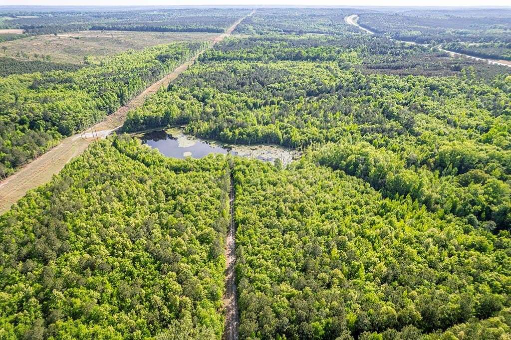196 Acres of Recreational & Residential Land for Sale in McIntyre, Georgia