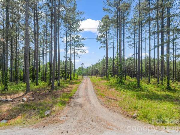 28.1 Acres of Recreational & Residential Land for Sale in Ellenboro, North Carolina