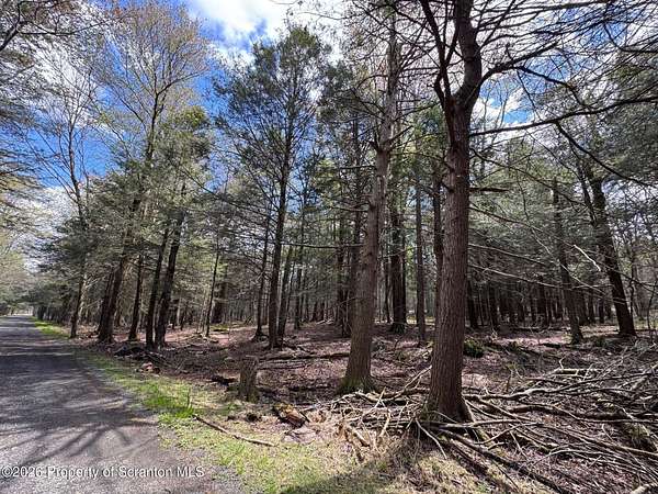 0.29 Acres of Residential Land for Sale in Sterling, Pennsylvania