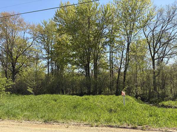 13.2 Acres of Land for Sale in Paw Paw, Michigan