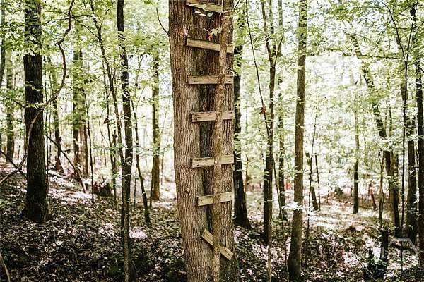 99.8 Acres of Recreational Land for Sale in Carlton, Georgia