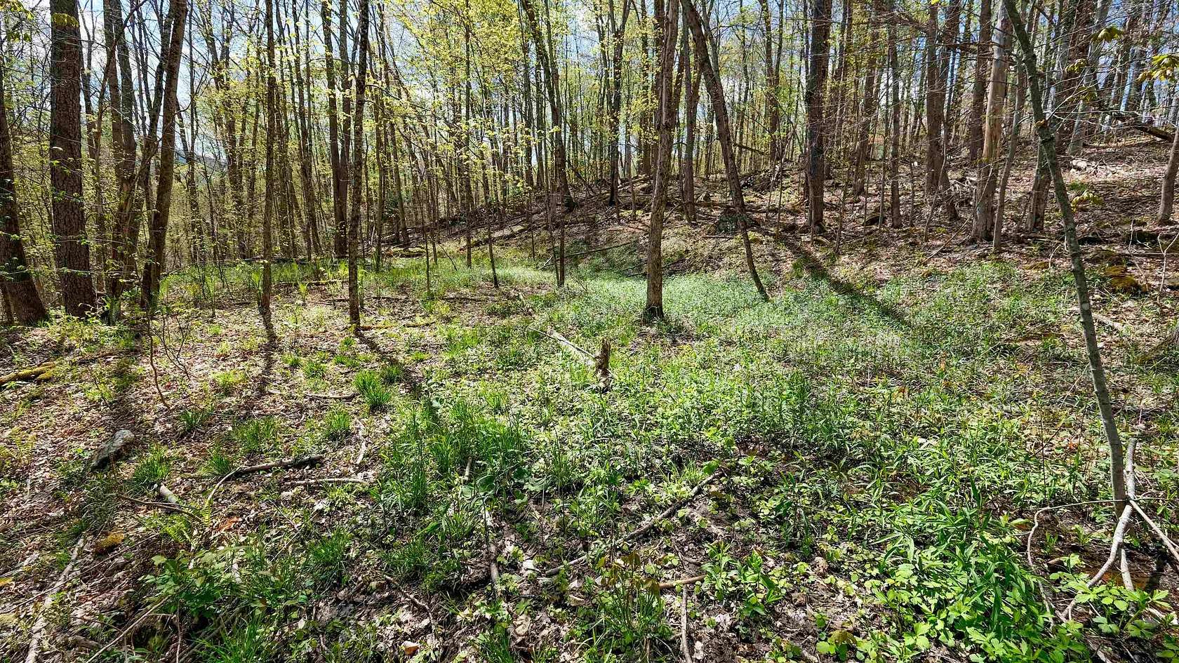 1.7 Acres of Residential Land for Sale in Wallingford, Vermont