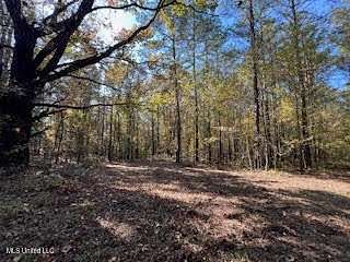 101 Acres of Recreational Land for Sale in Ashland, Mississippi