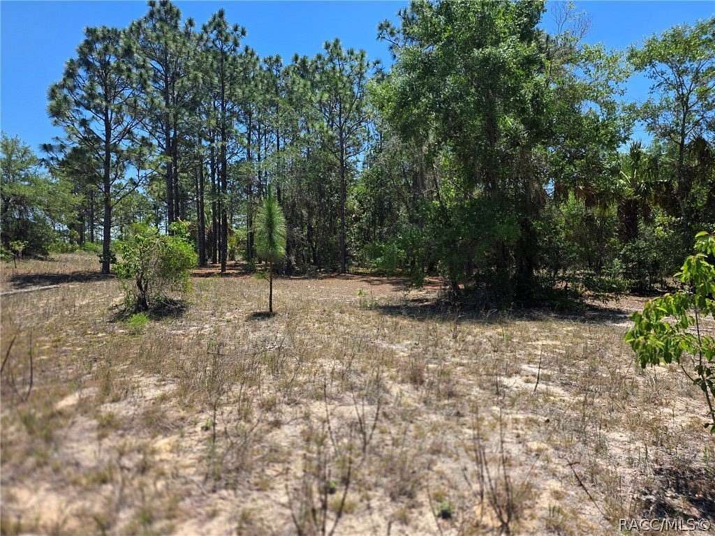 1 Acre of Residential Land for Sale in Dunnellon, Florida