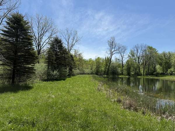 10.8 Acres of Recreational Land for Sale in Stanton, Michigan