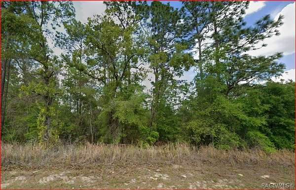 0.28 Acres of Land for Sale in Citrus Springs, Florida