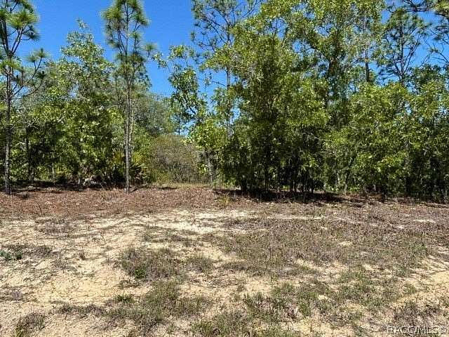 0.23 Acres of Residential Land for Sale in Dunnellon, Florida