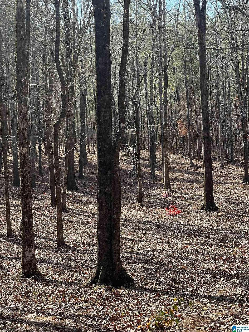 10 Acres of Land for Sale in Columbiana, Alabama
