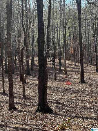 10 Acres of Land for Sale in Columbiana, Alabama