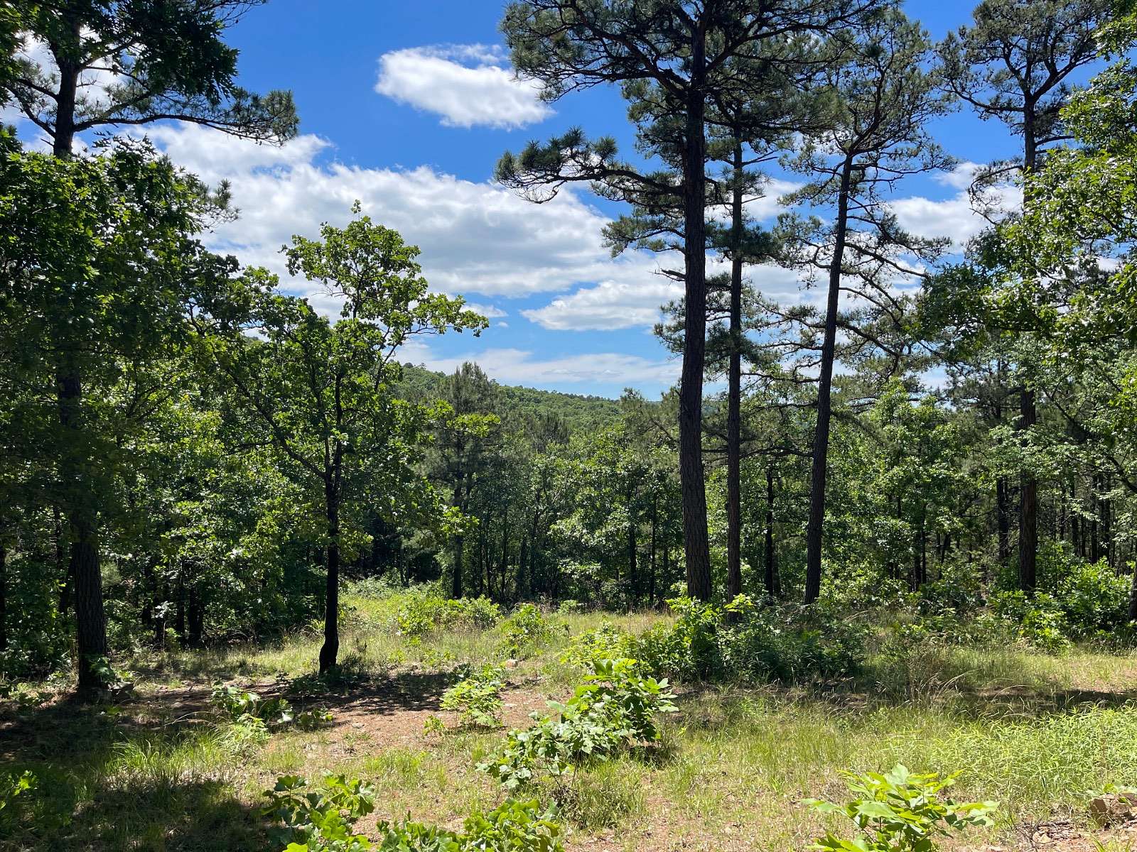 35 Acres of Recreational & Residential Land for Sale in Lequire, Oklahoma