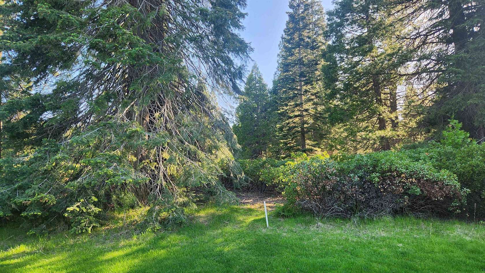 0.41 Acres of Residential Land for Sale in Lake Almanor Peninsula, California