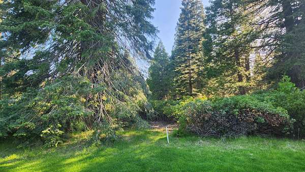 0.41 Acres of Residential Land for Sale in Lake Almanor Peninsula, California