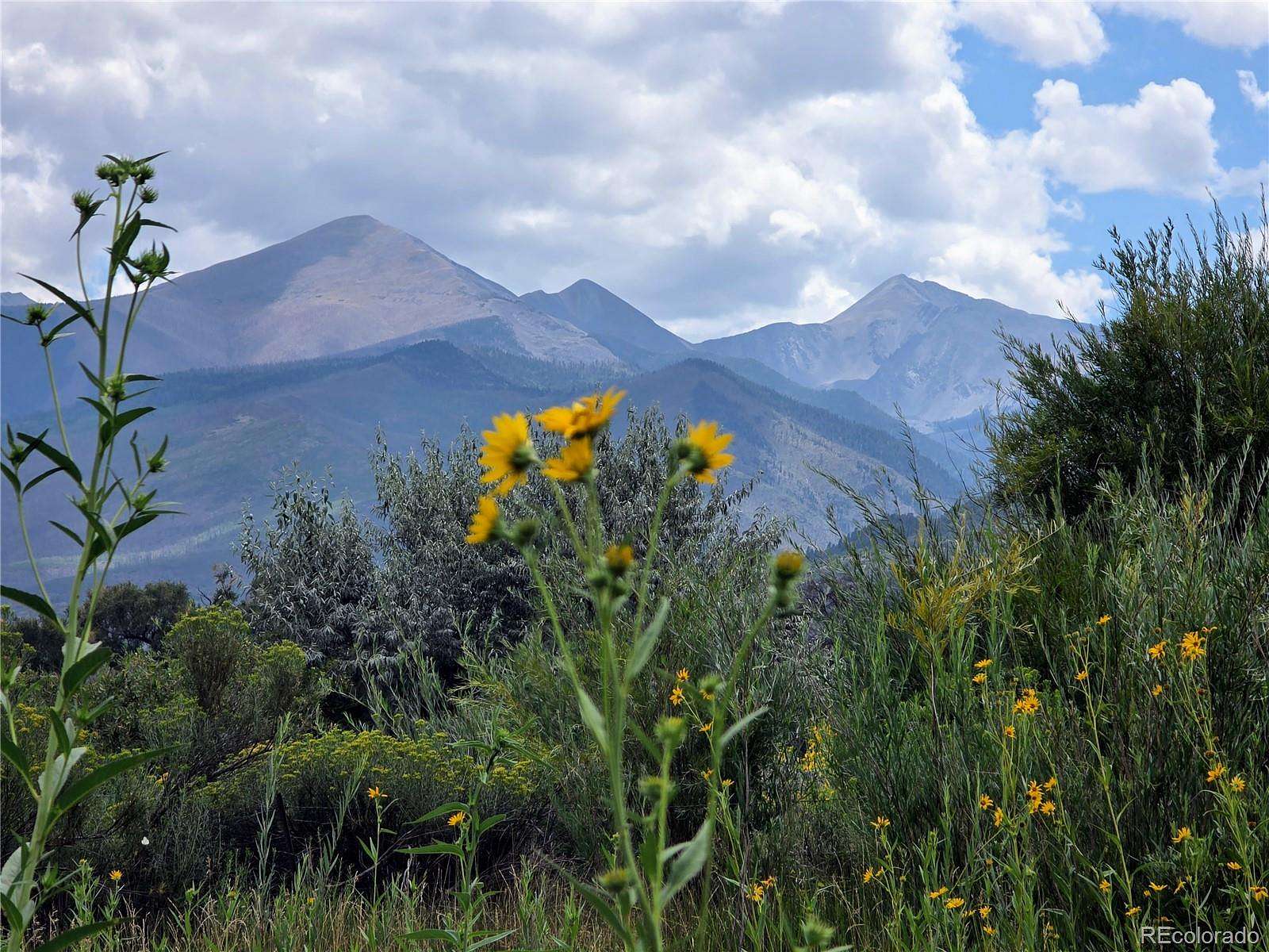 17.6 Acres of Land for Sale in Coaldale, Colorado