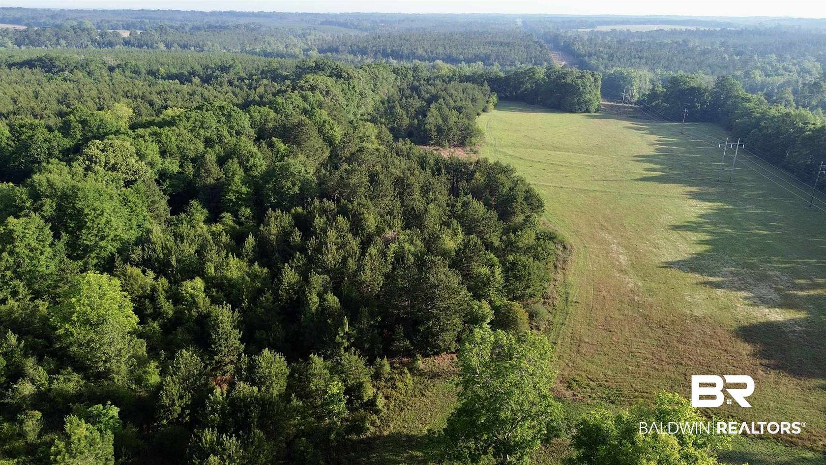 45 Acres of Recreational Land for Sale in Castleberry, Alabama