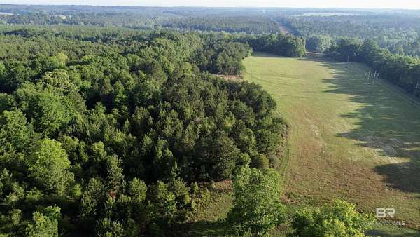 45 Acres of Recreational Land for Sale in Castleberry, Alabama
