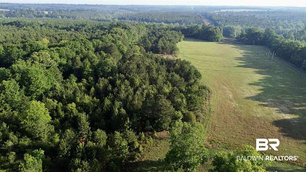 45 Acres of Recreational Land for Sale in Castleberry, Alabama