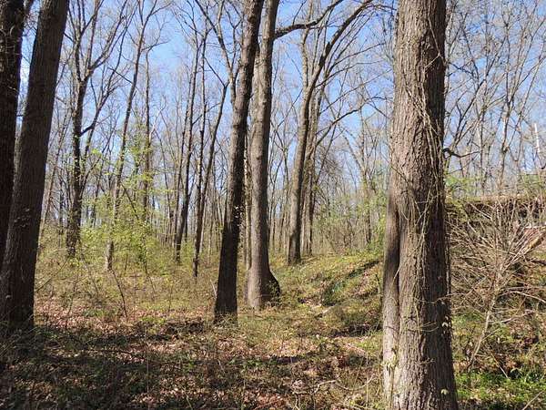 9.1 Acres of Residential Land for Sale in Fennville, Michigan