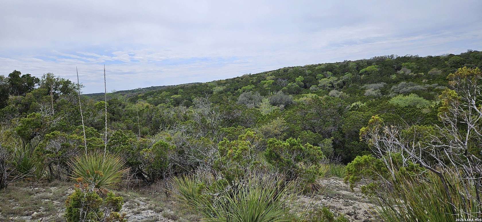 76.4 Acres of Agricultural Land for Sale in Helotes, Texas