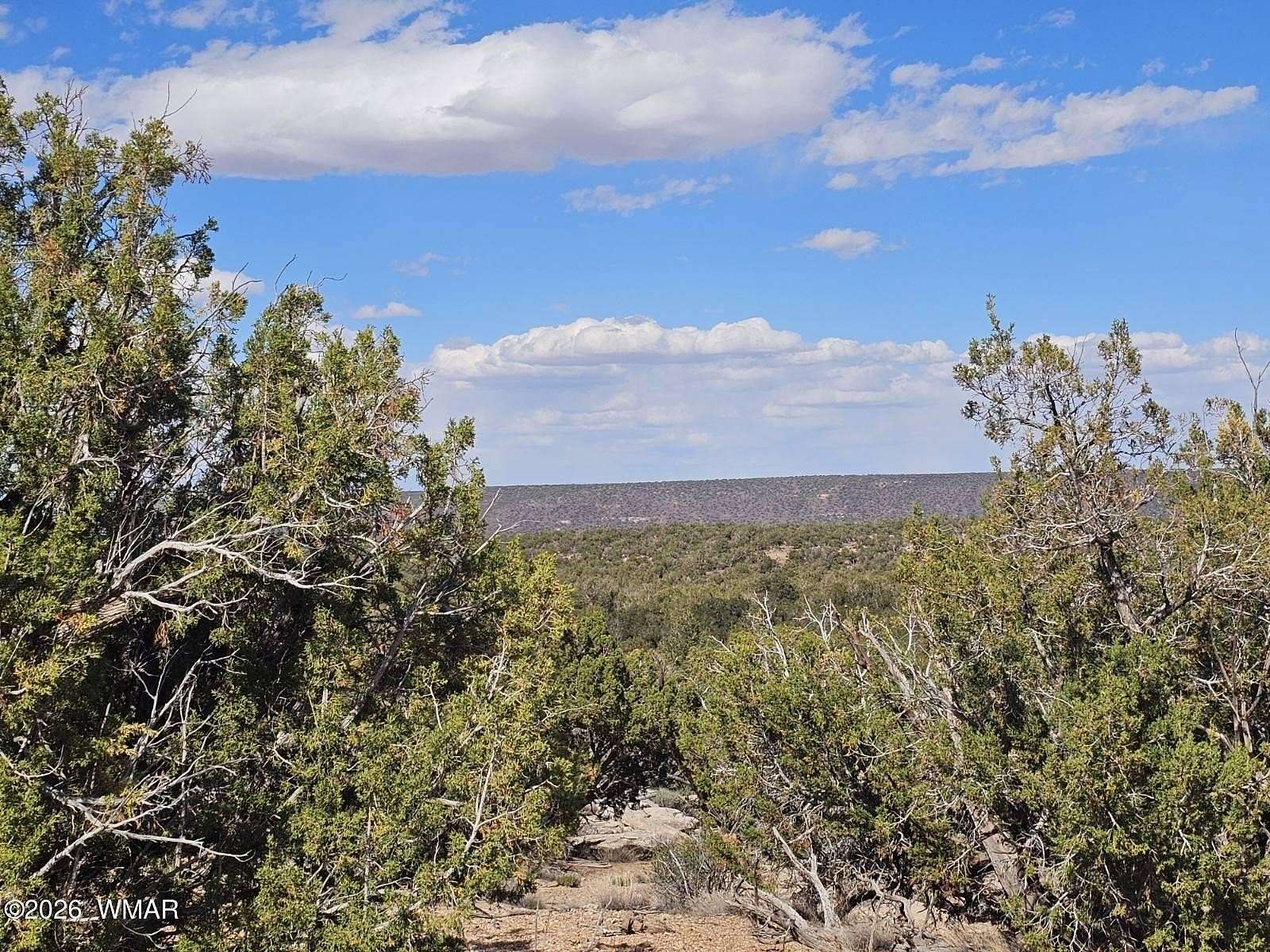 40 Acres of Recreational & Residential Land for Sale in Snowflake, Arizona