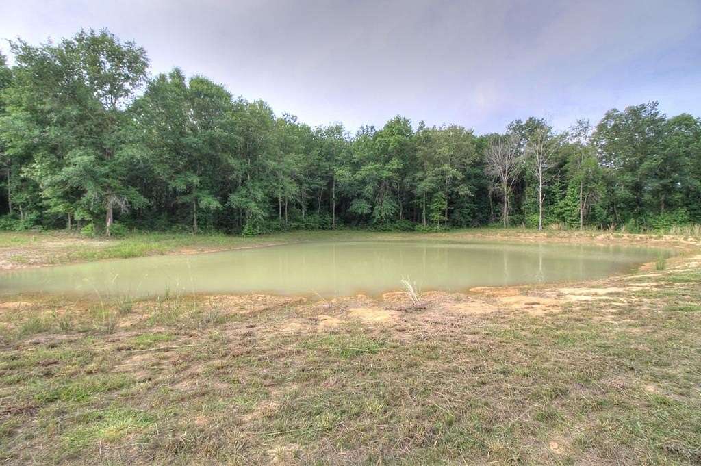 32.5 Acres of Land for Sale in Alto, Texas