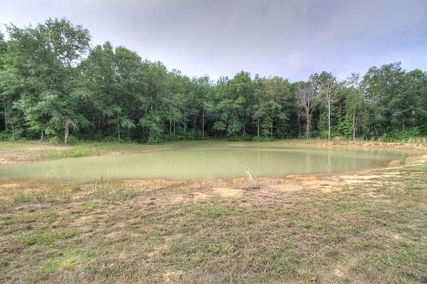 32.5 Acres of Recreational Land for Sale in Alto, Texas