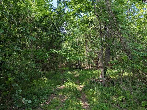 95 Acres of Recreational Land for Sale in Winnsboro, South Carolina
