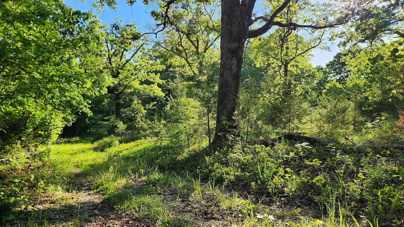 5.89 Acres of Land for Sale in Clever, Missouri
