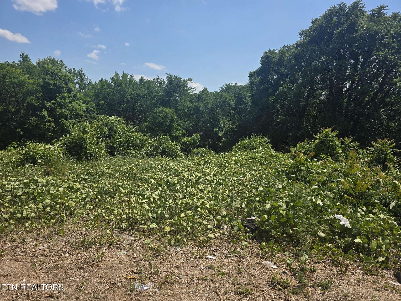 0.36 Acres of Residential Land for Sale in Knoxville, Tennessee