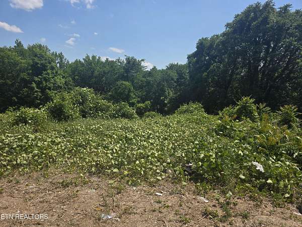 0.36 Acres of Residential Land for Sale in Knoxville, Tennessee