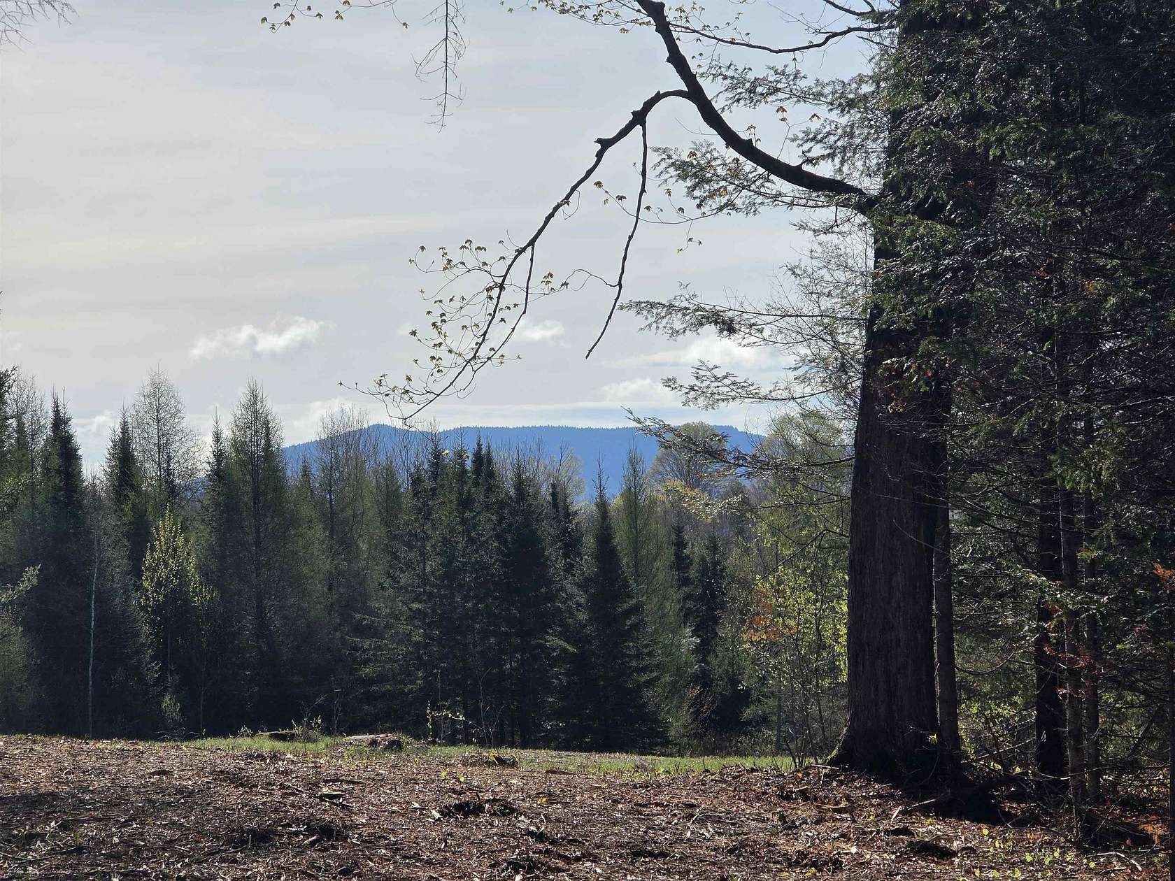 5.58 Acres of Residential Land for Sale in Lyndon, Vermont