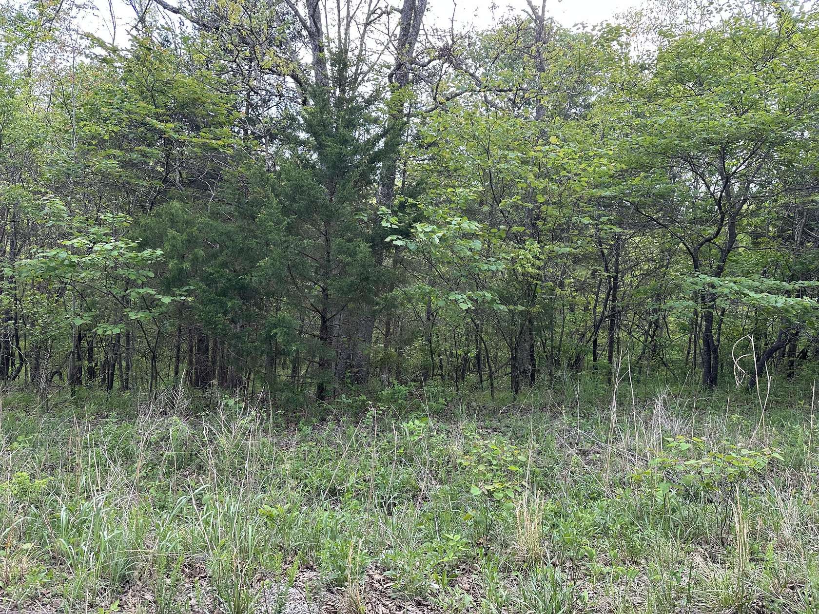 20.8 Acres of Recreational & Residential Land for Sale in Elkland, Missouri