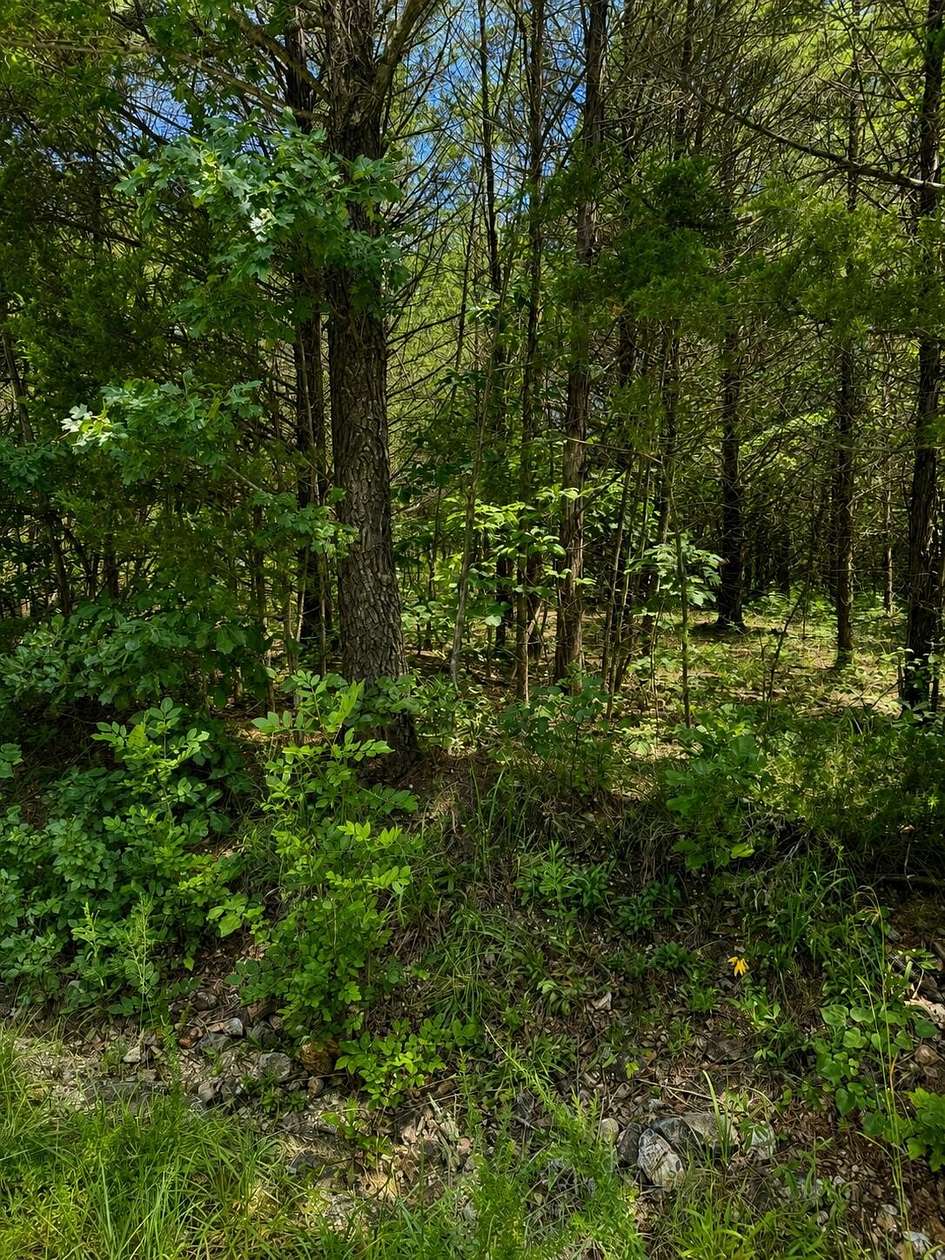 20.8 Acres of Recreational & Residential Land for Sale in Elkland, Missouri