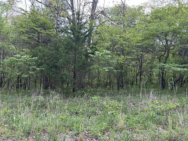 20.8 Acres of Recreational & Residential Land for Sale in Elkland, Missouri