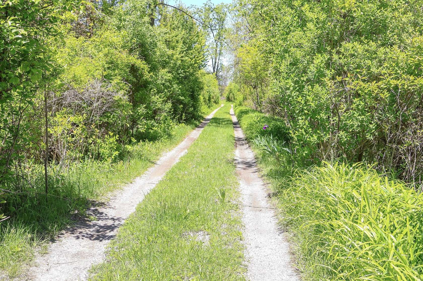 11.5 Acres of Mixed-Use Land for Sale in Three Oaks, Michigan