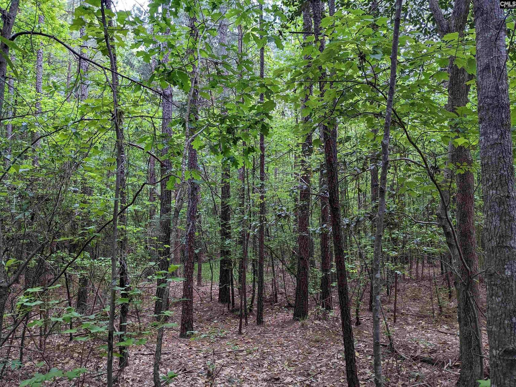 52 Acres of Land for Sale in Ridgeway, South Carolina