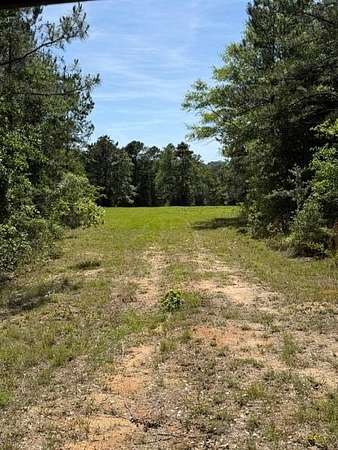 62 Acres of Recreational Land for Sale in Ozark, Alabama