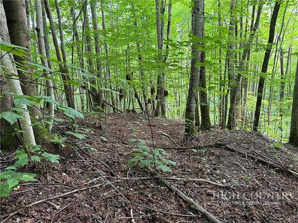 1 Acre of Residential Land for Sale in Beech Mountain, North Carolina