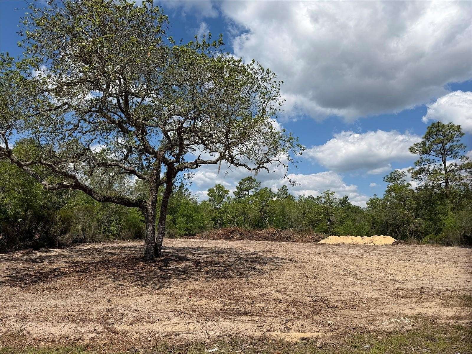 1.25 Acres of Residential Land for Sale in Bronson, Florida