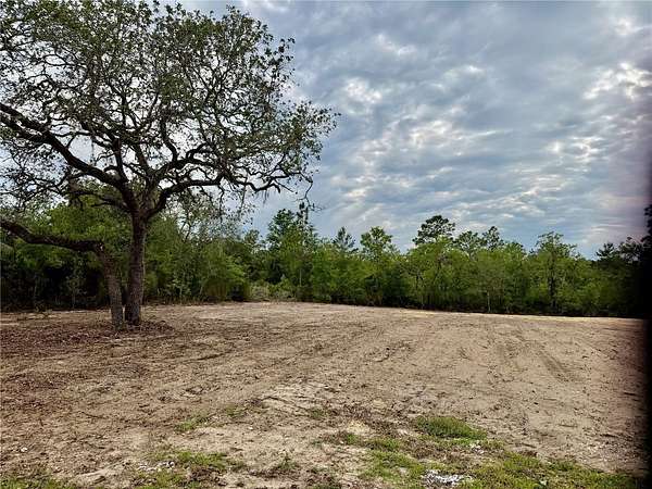 1.25 Acres of Residential Land for Sale in Bronson, Florida