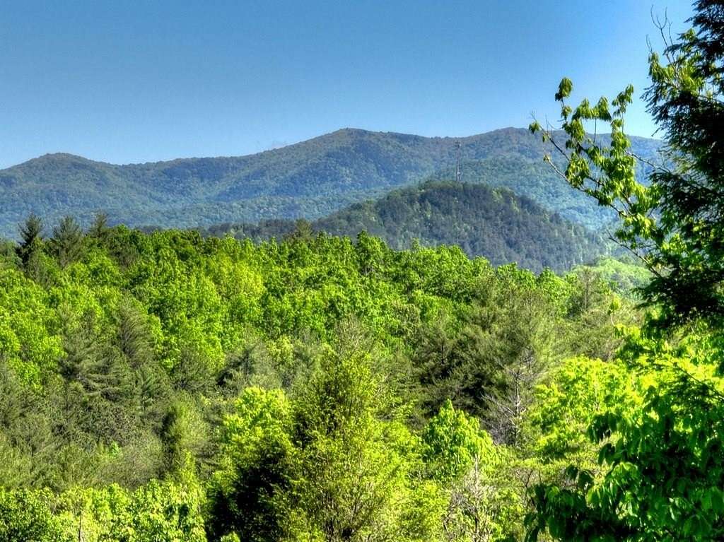 25 Acres of Land with Home for Sale in Copperhill, Tennessee