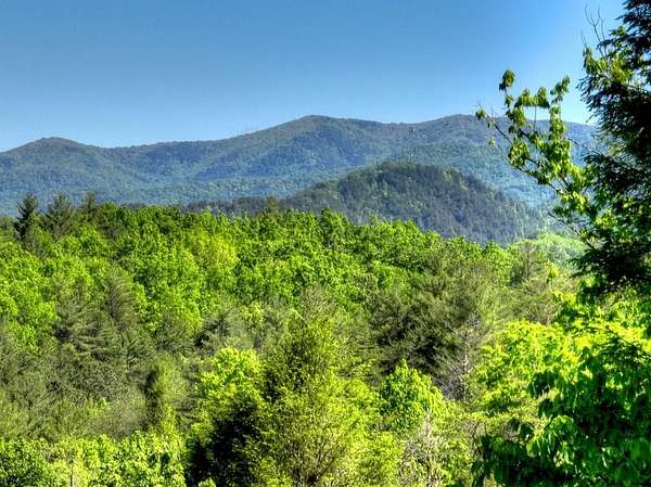 25 Acres of Land with Home for Sale in Copperhill, Tennessee