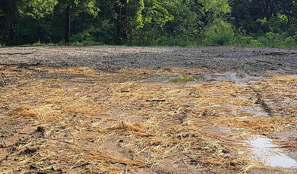 0.18 Acres of Residential Land for Sale in Bruceville, Indiana
