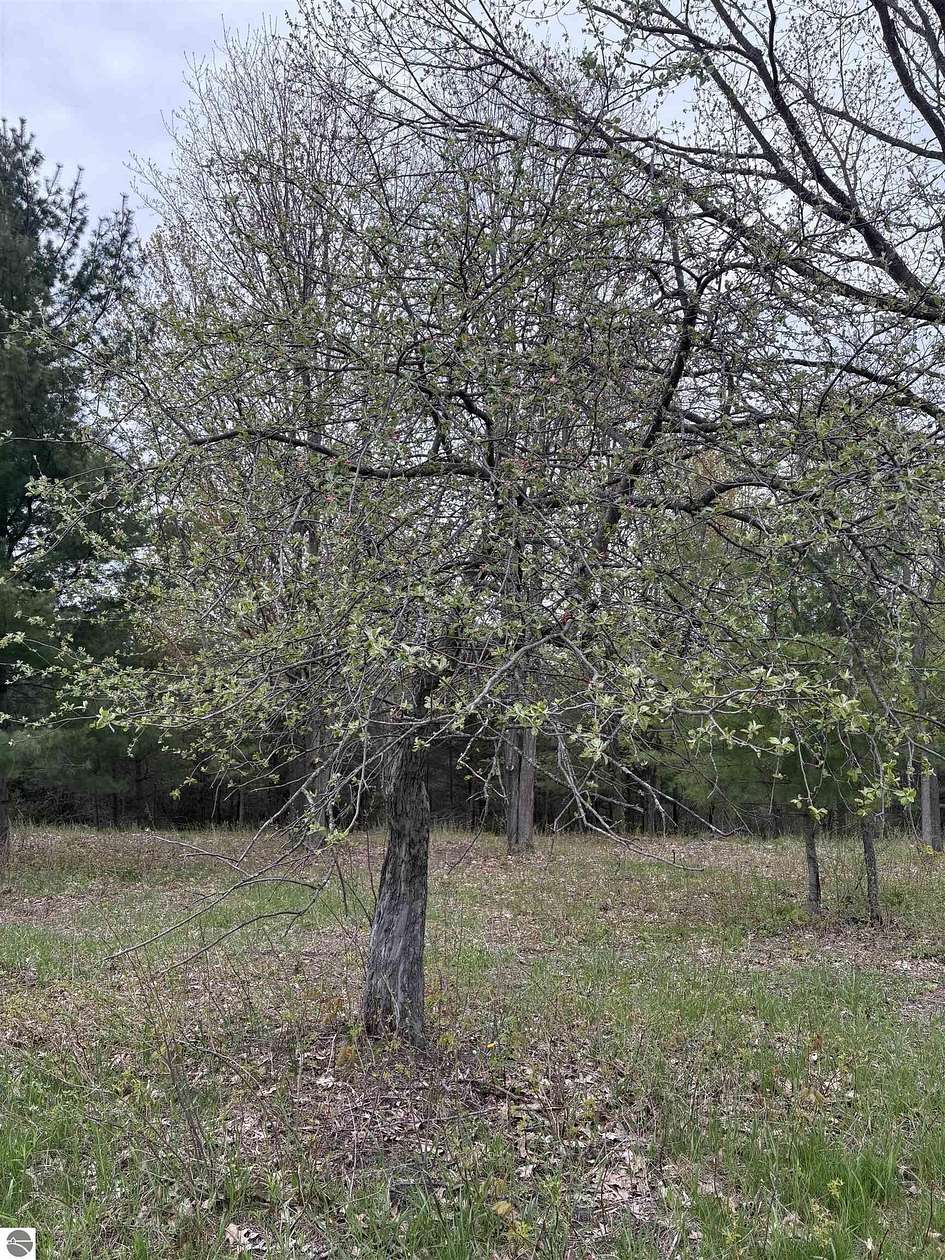 6.7 Acres of Residential Land for Sale in Bellaire, Michigan