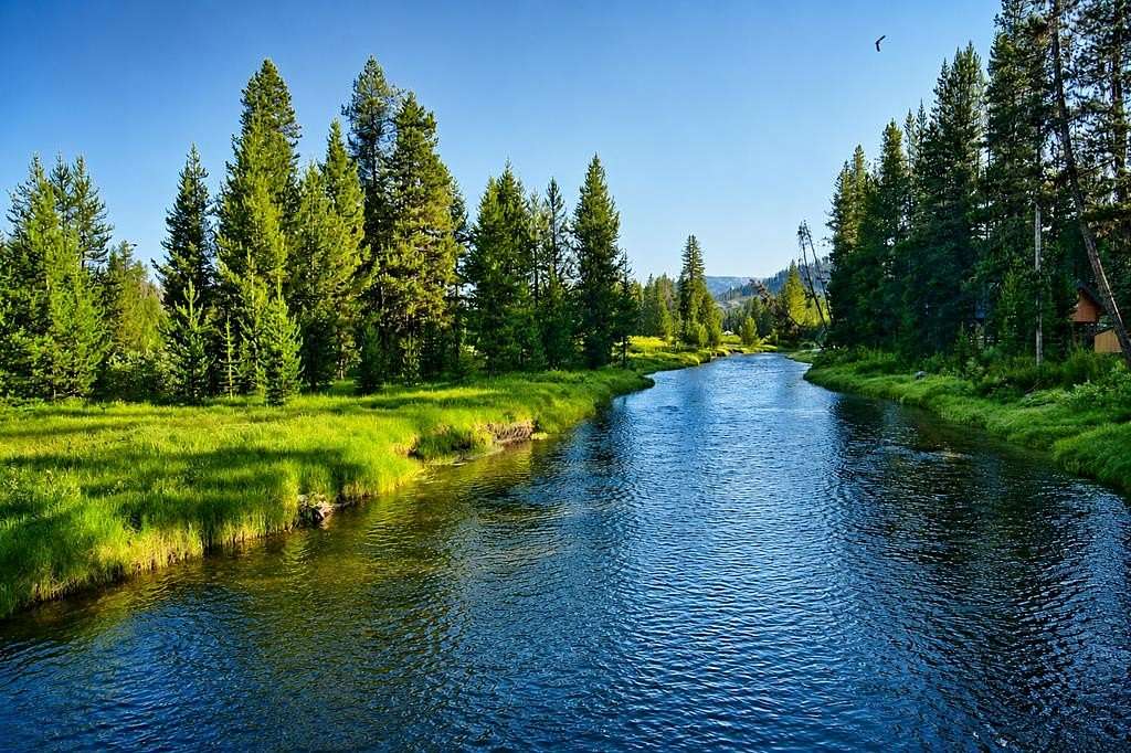 2.79 Acres of Land for Sale in Burgdorf, Idaho